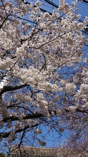 DSC_1998.jpg
