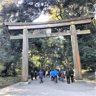 IMG_20190104_111326_789.jpg